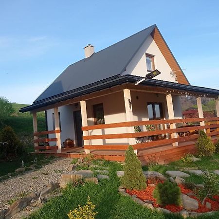 Domki W Bieszczadzkiej Dolinie Ustrzyki Dolne Exterior photo